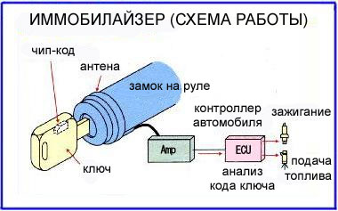 immobilazer