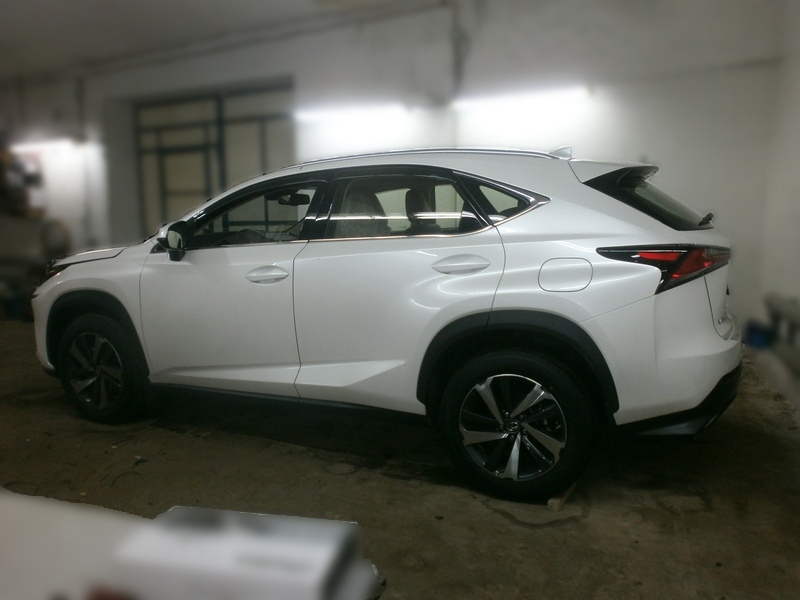  Lexus NX 300 re 8AR 004